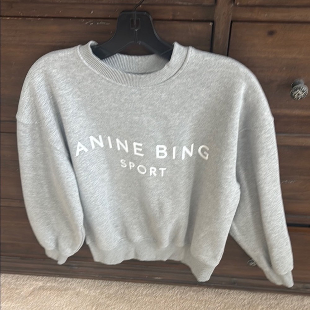 Anine Bing Gray Sweatshirt